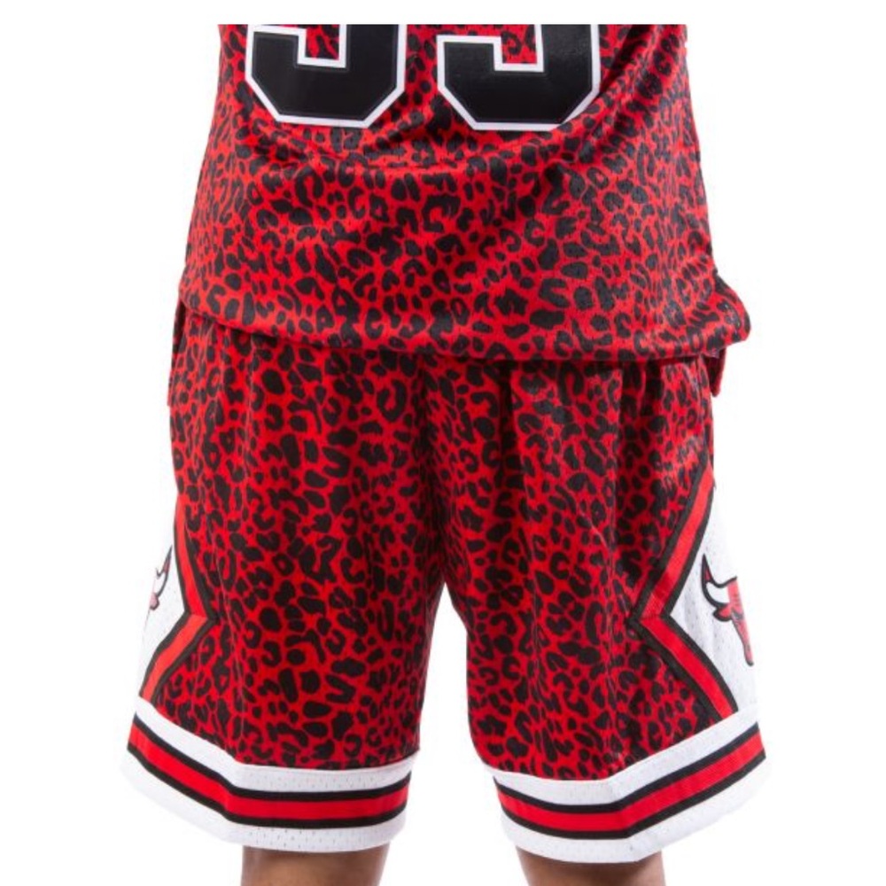 CHICAGO BULLS WILD LIFE SWINGMAN SHORTS Men's Shorts